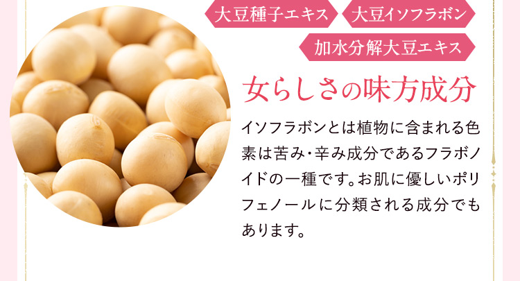 大豆種子エキス 大豆イソフラボン 加水分解大豆エキス 女らしさの味方成分 イソフラボンとは植物に含まれる色素は苦み・辛み成分であるフラボノイドの一種です。お肌に優しいポリフェノールに分類される成分でもあります。