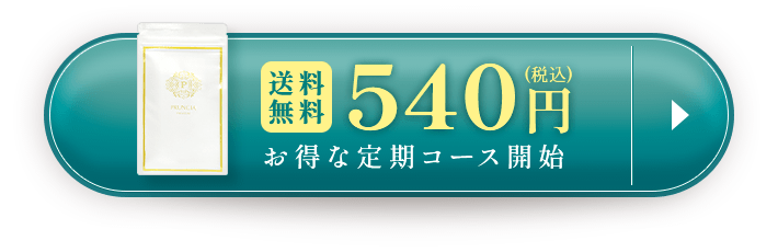 お得な定期コース開始