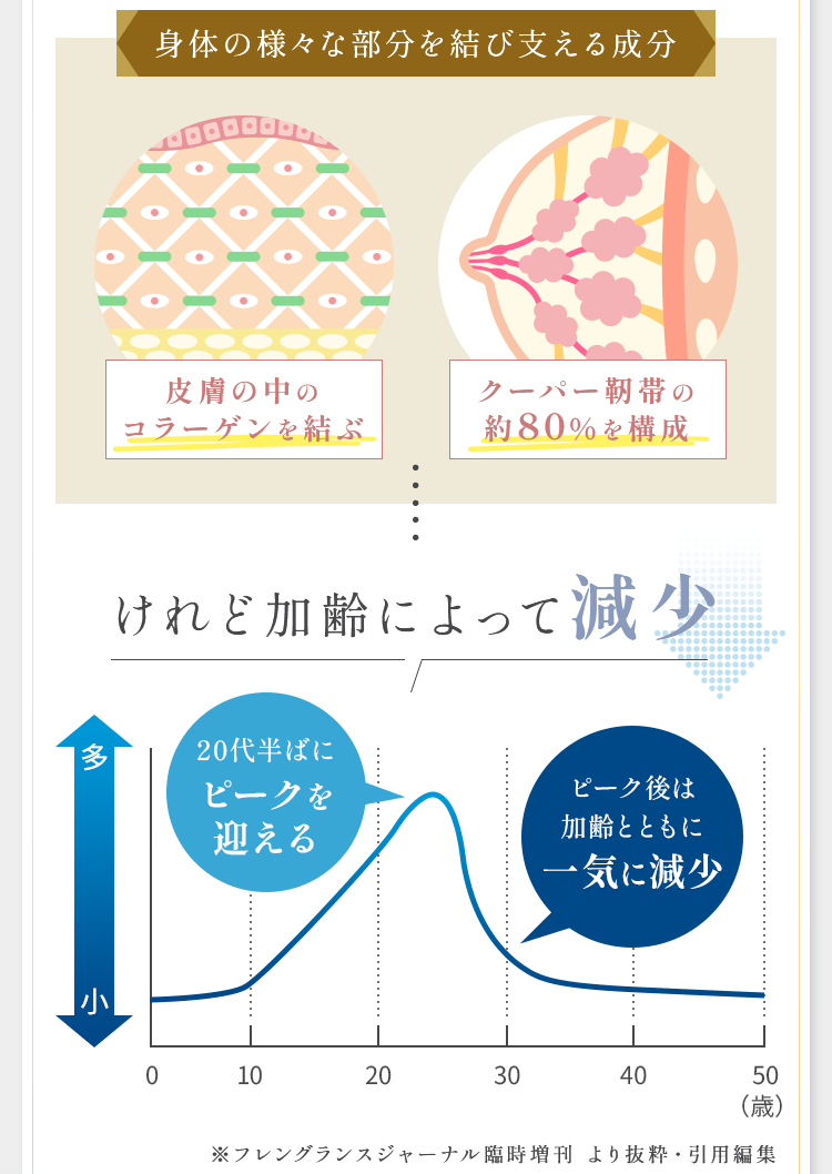 身体の様々な部分を結び支える成分