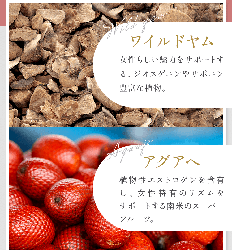 ワイルドヤム・アグアヘ